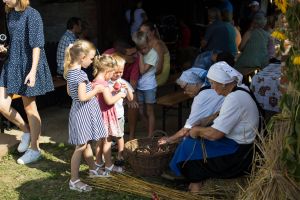 Dnevi poezije in vina