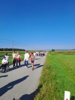 Svetovni dan fizioterapije