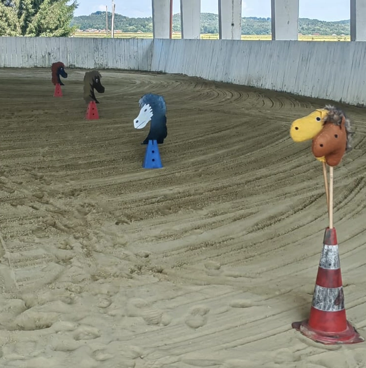 VZGOJA IN IZOBRAŽEVANJE